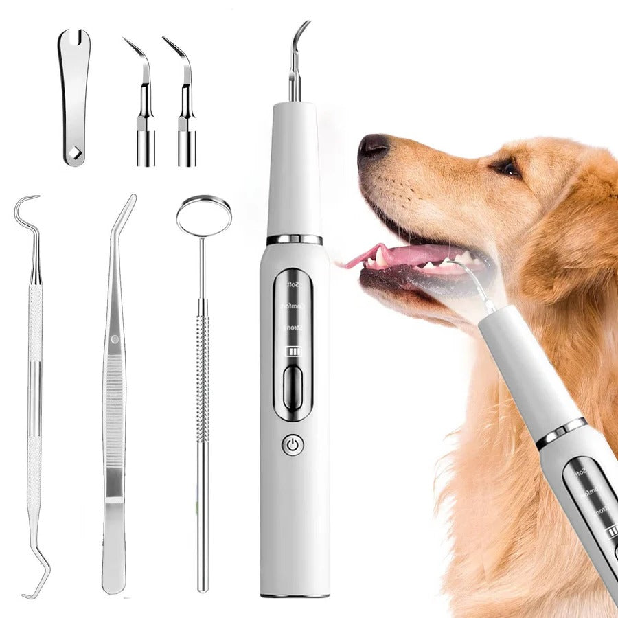 Dog Tartar Removal Tool