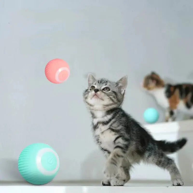 PowsPlay | 360° Rotating Interactive Cat Toy