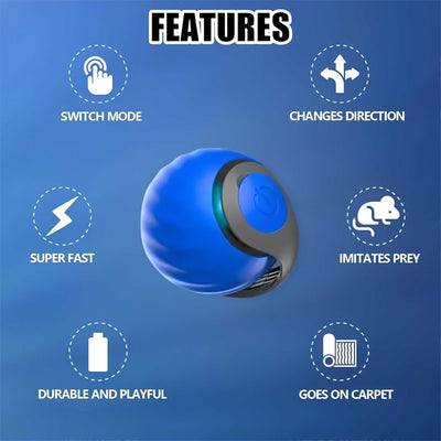 Cat Toys | 2025 Interactive Cat Toys - for Bored Indoor Adult Cats
