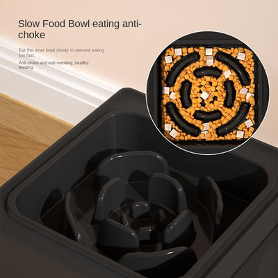Adjustable Stainless Steel Double Dog Bowls with Elevated Stand – Perfect for Large Pets