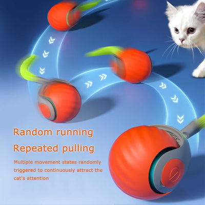 Cat Toys | 2025 Interactive Cat Toys - for Bored Indoor Adult Cats