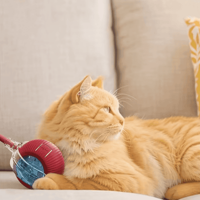 Self-Moving Cat Toy Ball – 360° Auto-Rolling, Smart Interactive Pet Ball for Indoor Cats & Small Dogs