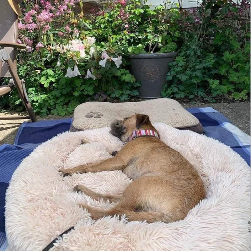 Calming Dog Bed – Plush Donut Cuddler for Dogs & Cats with Soft Faux Fur