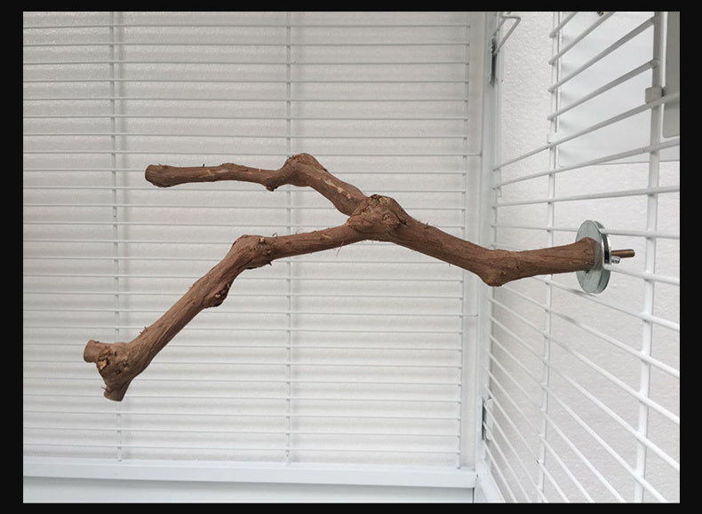 pole for parrot birds