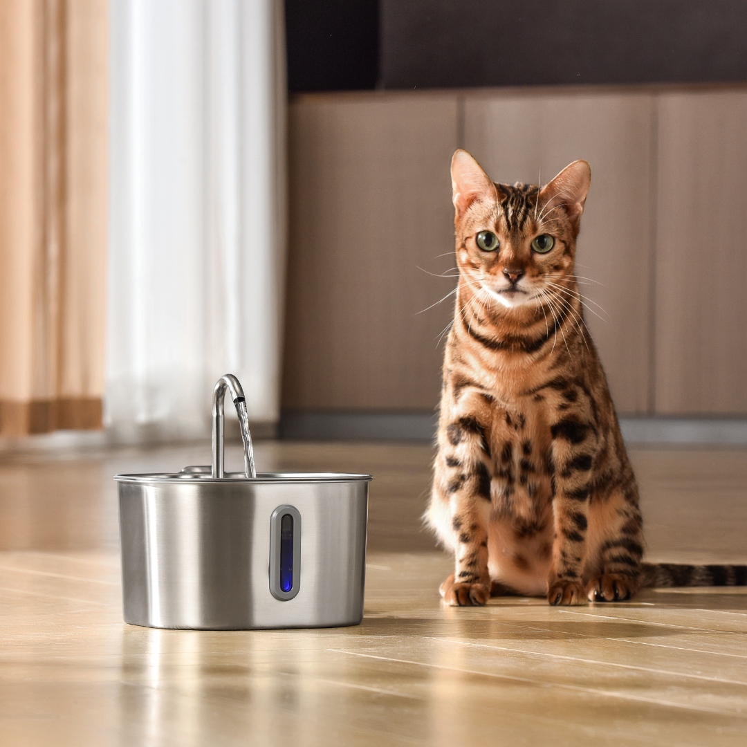 2.2L Cat Water Fountain | Automatic Cat Drinking Fountain with Filtered Flow