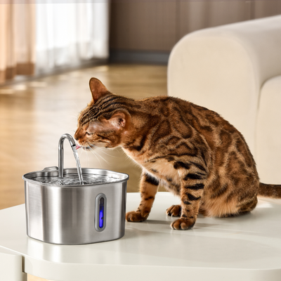 2.2L Cat Water Fountain | Automatic Cat Drinking Fountain with Filtered Flow