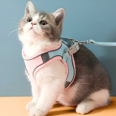 Catventure | Adjustable Safety Harness for Cats – Comfort & Security for Every Adventure