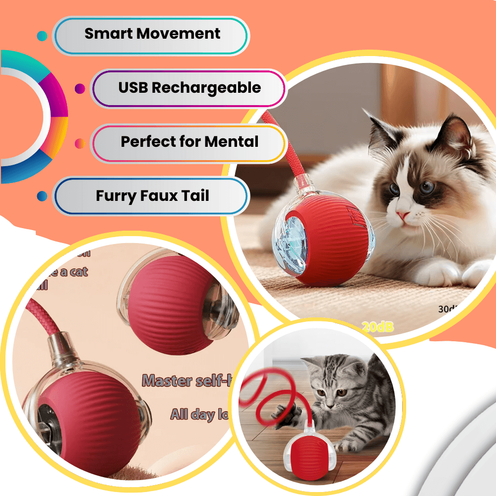 Self-Moving Cat Toy Ball – 360° Auto-Rolling, Smart Interactive Pet Ball for Indoor Cats & Small Dogs