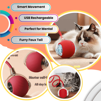 Self-Moving Cat Toy Ball – 360° Auto-Rolling, Smart Interactive Pet Ball for Indoor Cats & Small Dogs