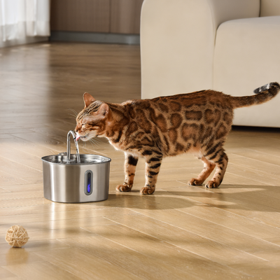 2.2L Cat Water Fountain | Automatic Cat Drinking Fountain with Filtered Flow
