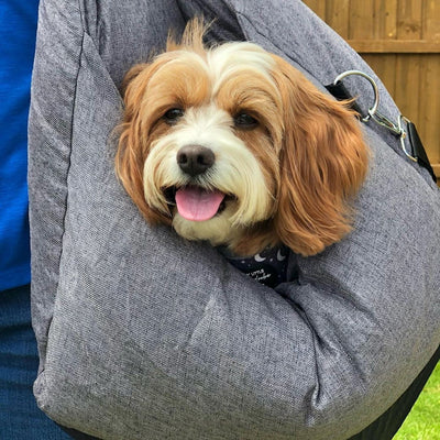 Dog Car Seat Bed | Portable Travel Bed for Small & Medium Dogs