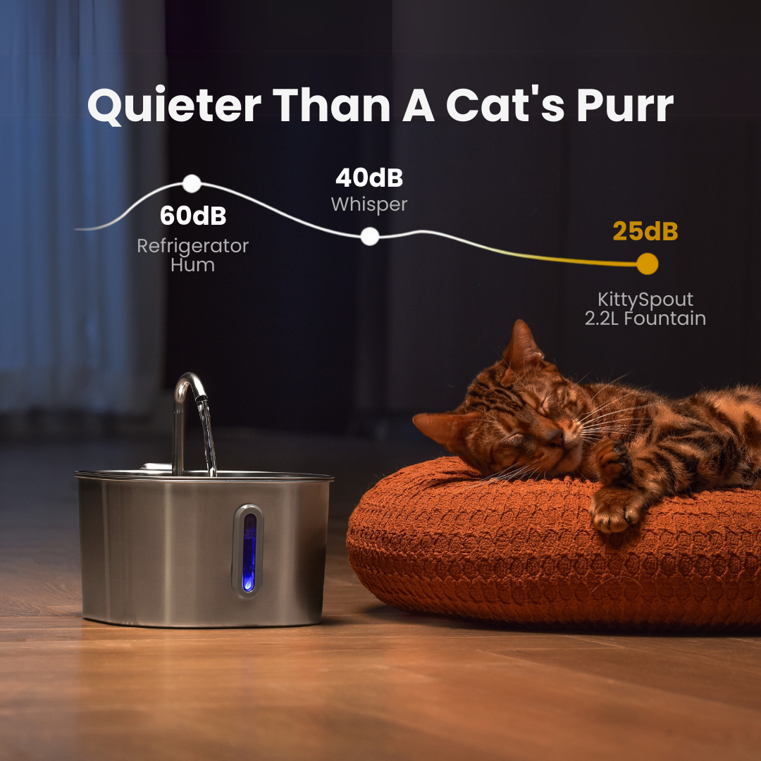 2.2L Cat Water Fountain | Automatic Cat Drinking Fountain with Filtered Flow