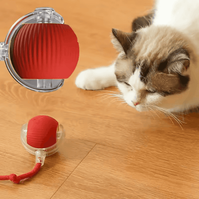 Self-Moving Cat Toy Ball – 360° Auto-Rolling, Smart Interactive Pet Ball for Indoor Cats & Small Dogs