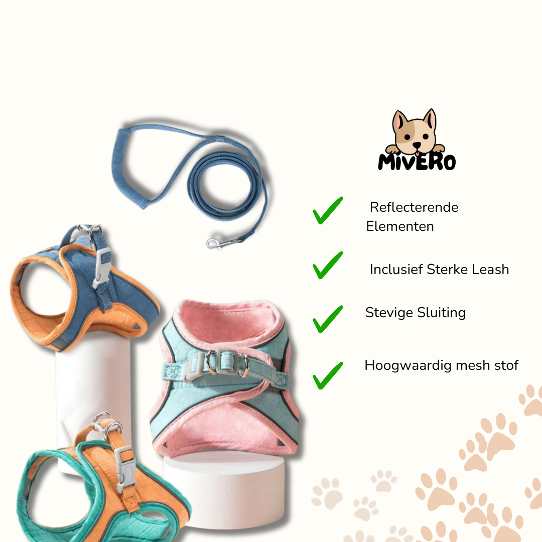 Catventure | Adjustable Safety Harness for Cats – Comfort & Security for Every Adventure