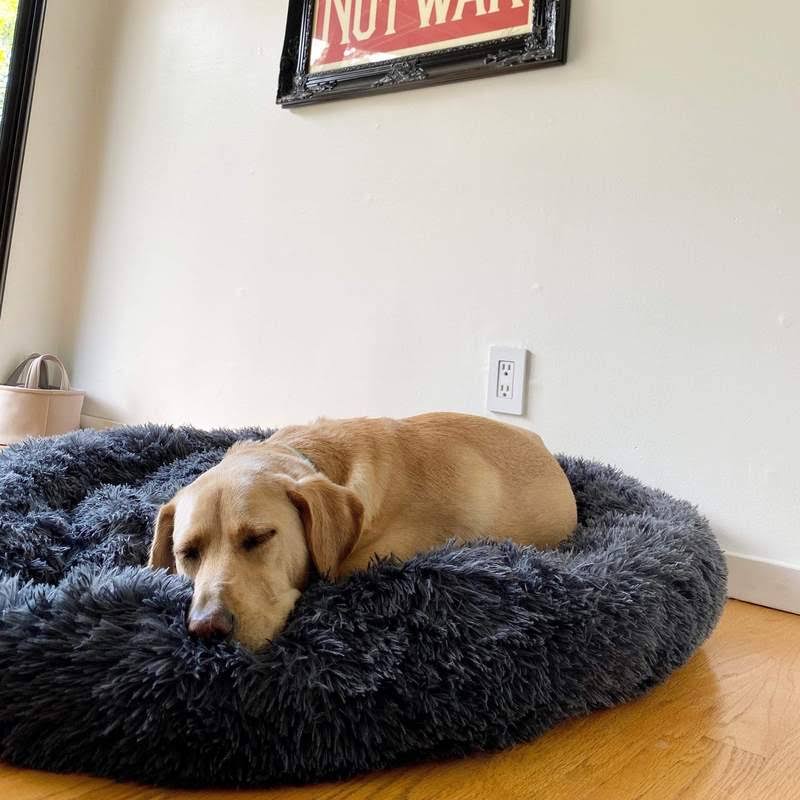 Calming Dog Bed – Plush Donut Cuddler for Dogs & Cats with Soft Faux Fur