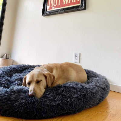 Calming Dog Bed – Plush Donut Cuddler for Dogs & Cats with Soft Faux Fur