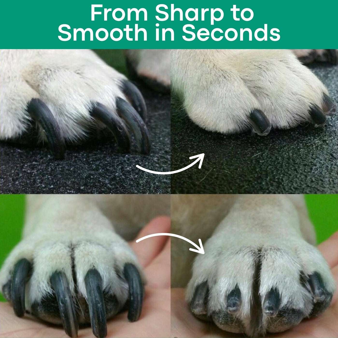 SafeTrim  | LED Pet Nail Clipper for Dogs & Cats, Safe Claw Grooming Tool