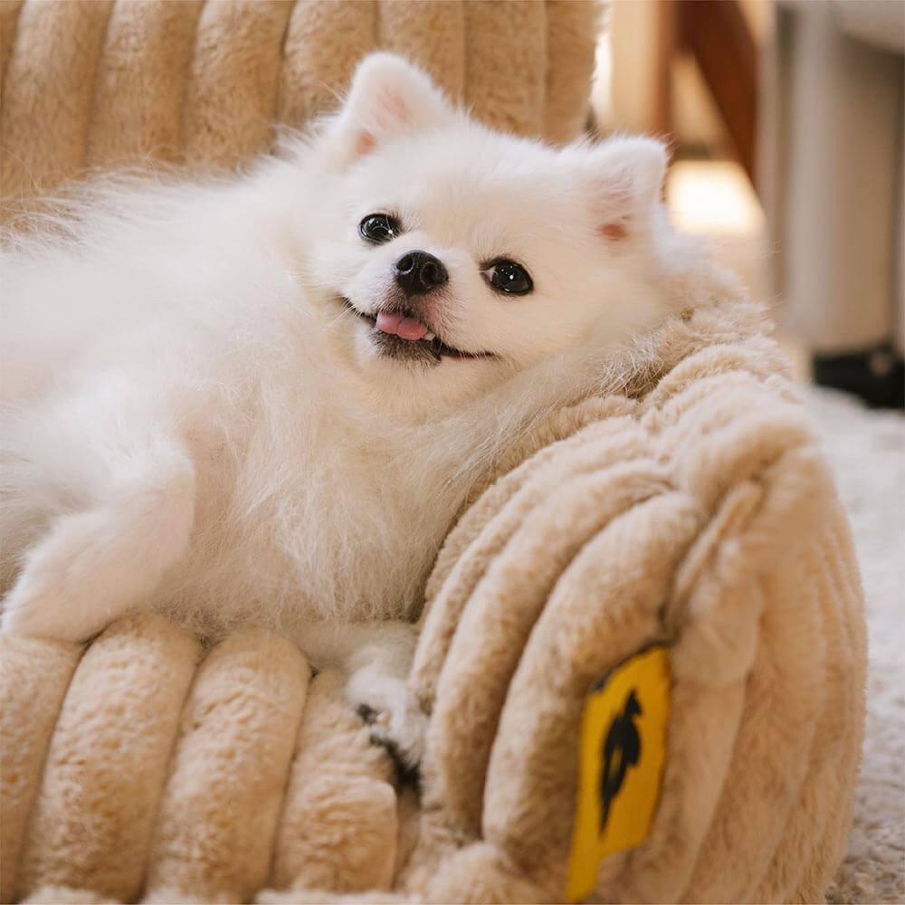 Large Orthopedic Dog Bed | Washable Fluffy Sofa Pillow for Medium & Large Dogs