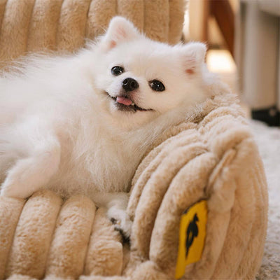 Large Orthopedic Dog Bed | Washable Fluffy Sofa Pillow for Medium & Large Dogs