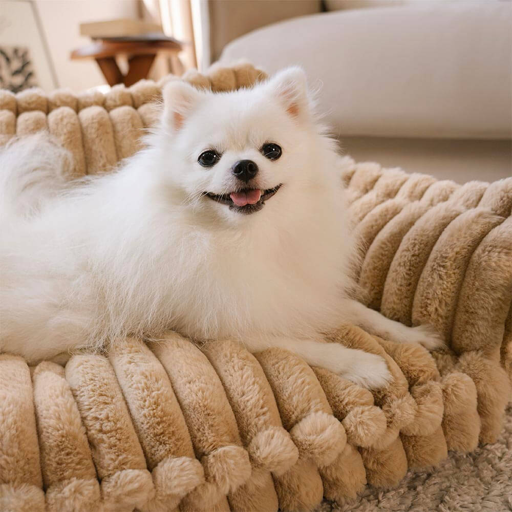 Large Orthopedic Dog Bed | Washable Fluffy Sofa Pillow for Medium & Large Dogs