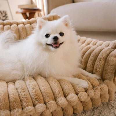 Large Orthopedic Dog Bed | Washable Fluffy Sofa Pillow for Medium & Large Dogs