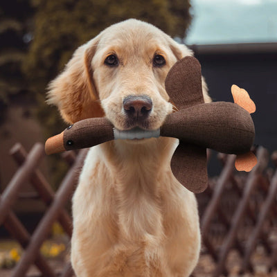 SolidPet - Indestructible Dog Toy