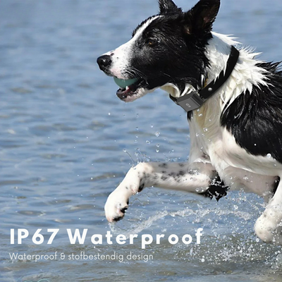 4G GPS Pet Tracker Collar – Waterproof Smart Locator for Cats & Dogs | Realtime Tracking with Free App (iOS & Android)