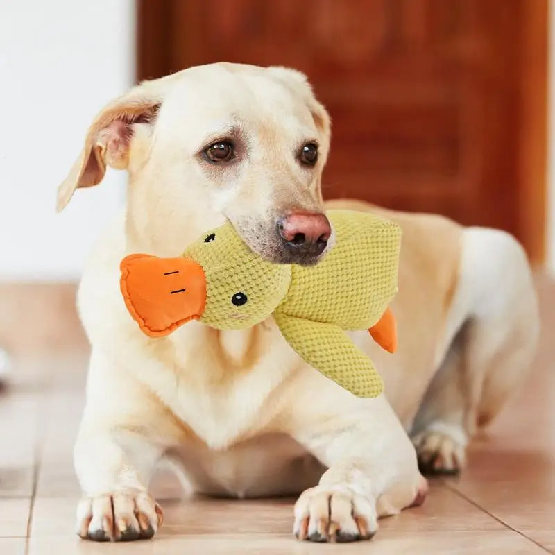HappyPet – Sustainable Dog Toy Dog Cuddle