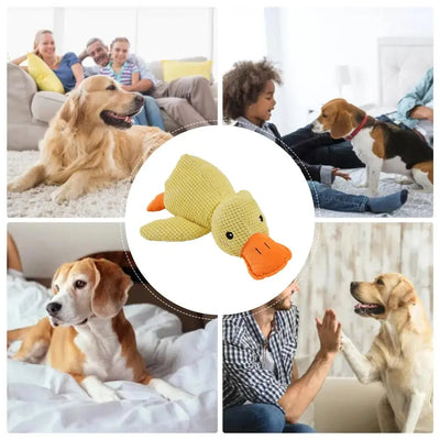 HappyPet – Sustainable Dog Toy Dog Cuddle