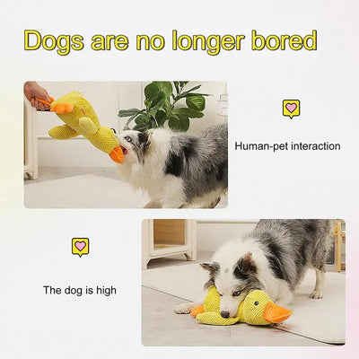HappyPet – Sustainable Dog Toy Dog Cuddle