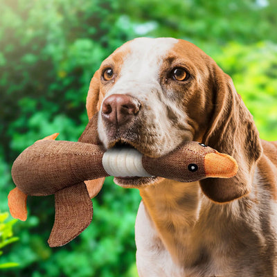 SolidPet - Indestructible Dog Toy