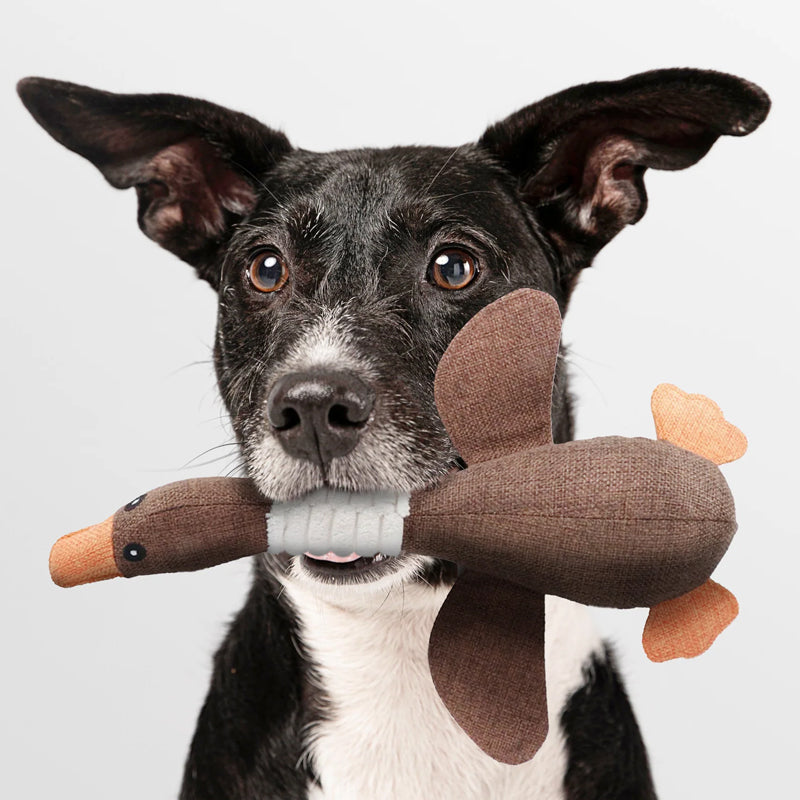SolidPet - Indestructible Dog Toy