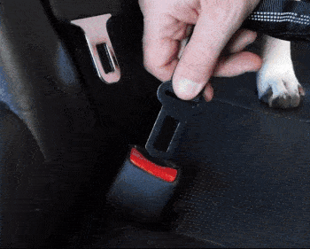 Dog Car Seat Belt