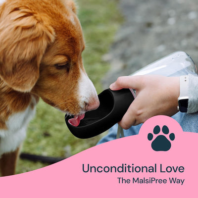 Portable Dog Water Bottle – Leak-Proof Pet Travel Dispenser with Built-In Bowl for Walking & Hiking