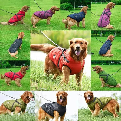 Waterproof Dog Jacket – Keep Your Pup Warm & Dry This Aussie Winter