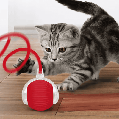 Self-Moving Cat Toy Ball – 360° Auto-Rolling, Smart Interactive Pet Ball for Indoor Cats & Small Dogs