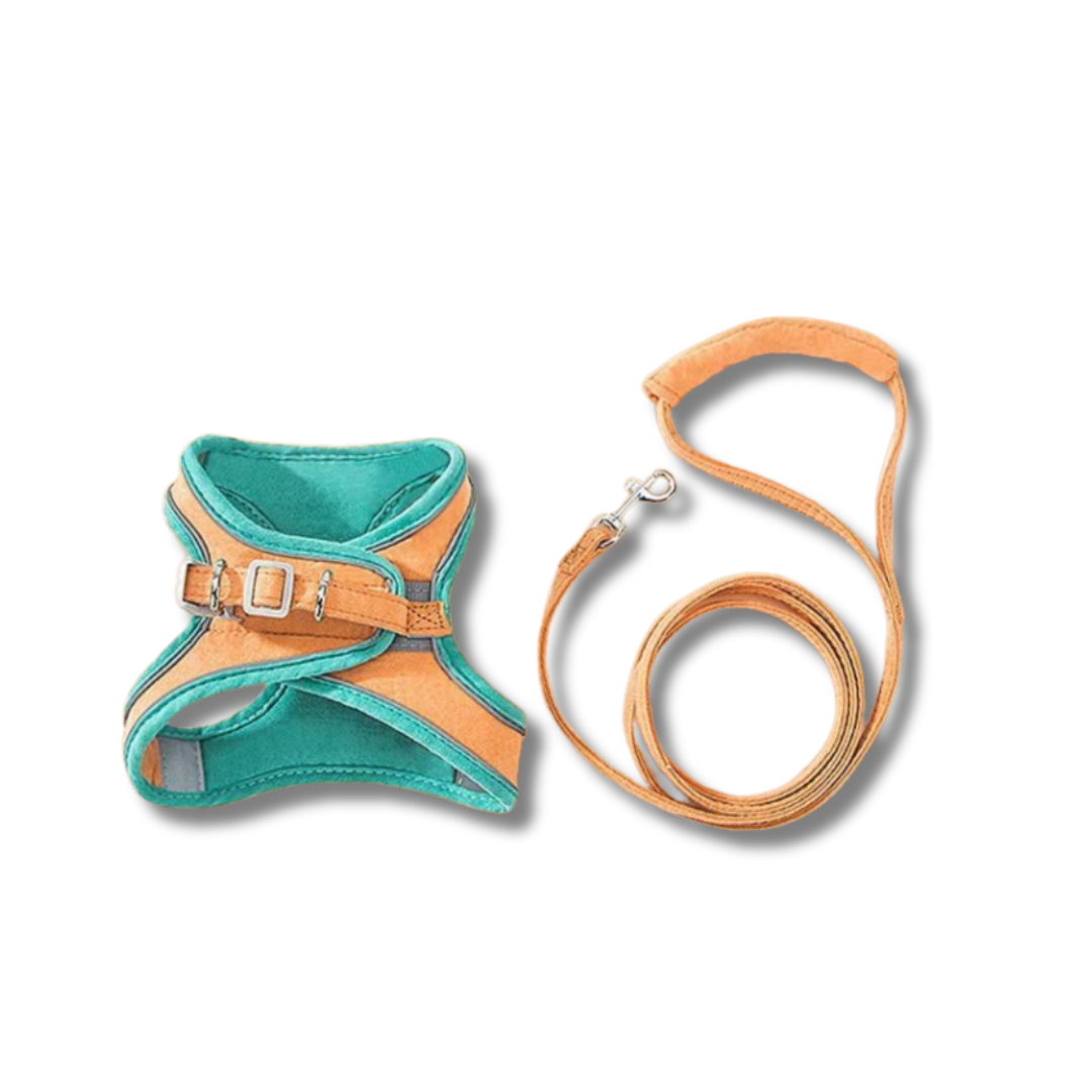 Catventure | Adjustable Safety Harness for Cats – Comfort & Security for Every Adventure