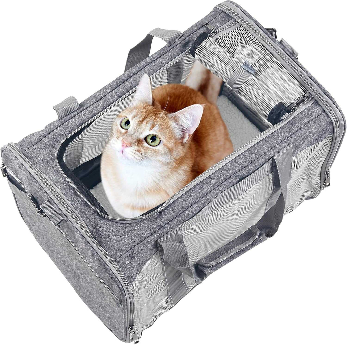 Large Cat & Dog Carrier – Soft-Sided Collapsible Travel Bag for Pets up to 25 lbs