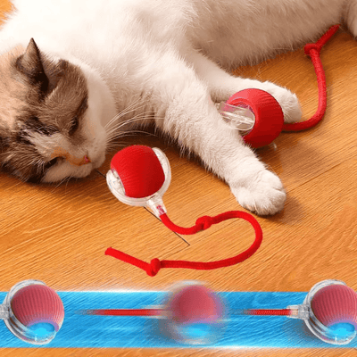 Self-Moving Cat Toy Ball – 360° Auto-Rolling, Smart Interactive Pet Ball for Indoor Cats & Small Dogs