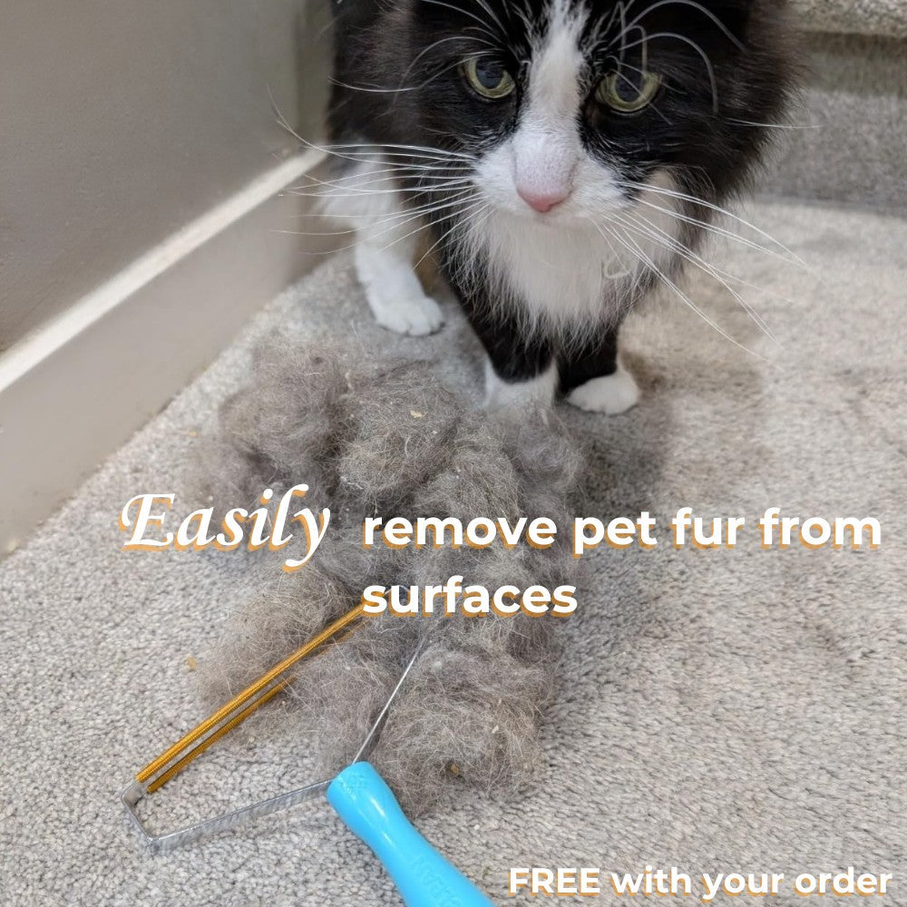 Low-Noise Cat Grooming Trimmer Kit - Cordless Pet Clipper