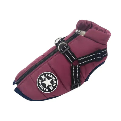 Waterproof Dog Jacket – Keep Your Pup Warm & Dry This Aussie Winter