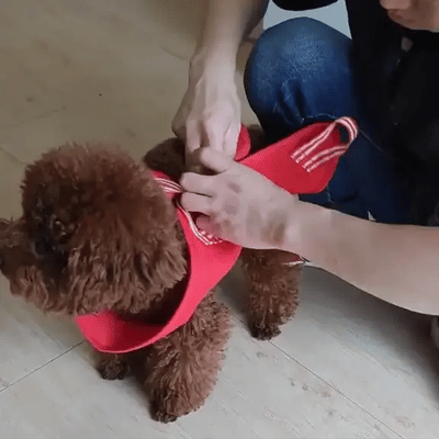 Pet Grooming Hammock