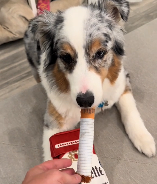 ChewCigarette | Strong & Hilarious Dog Toy – Built for Tough Chewers