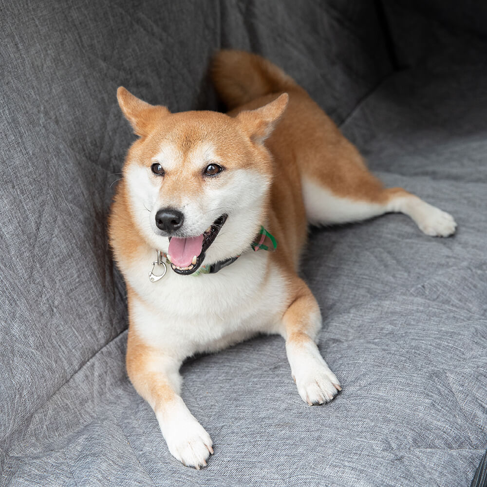 Waterproof and dirt-repellent car seat cover for dogs