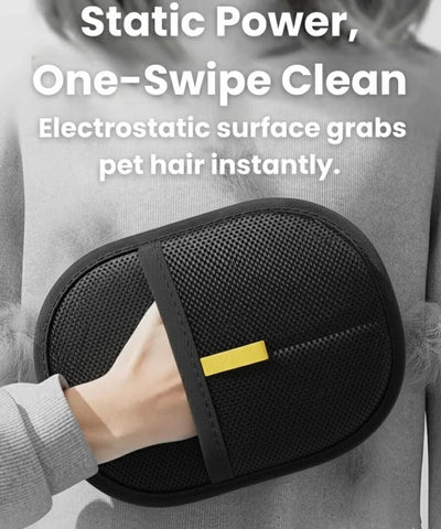 Pet Hair Removal Glove with Dual-Sided Electrostatic Bristles