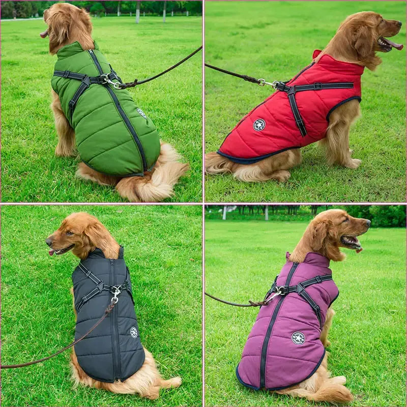 Waterproof Dog Jacket – Keep Your Pup Warm & Dry This Aussie Winter