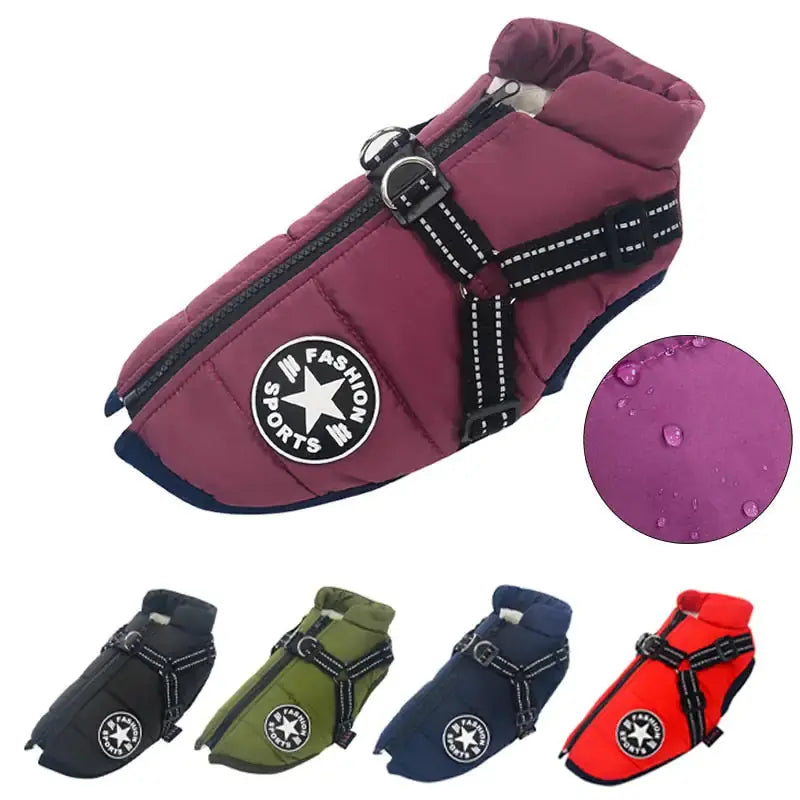 Waterproof Dog Jacket – Keep Your Pup Warm & Dry This Aussie Winter