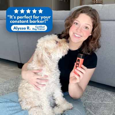 BarkShield Pro | Ultrasonic Bark Control Device