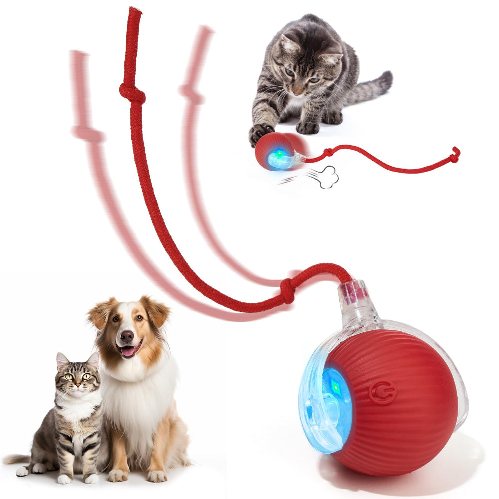 Self-Moving Cat Toy Ball – 360° Auto-Rolling, Smart Interactive Pet Ball for Indoor Cats & Small Dogs