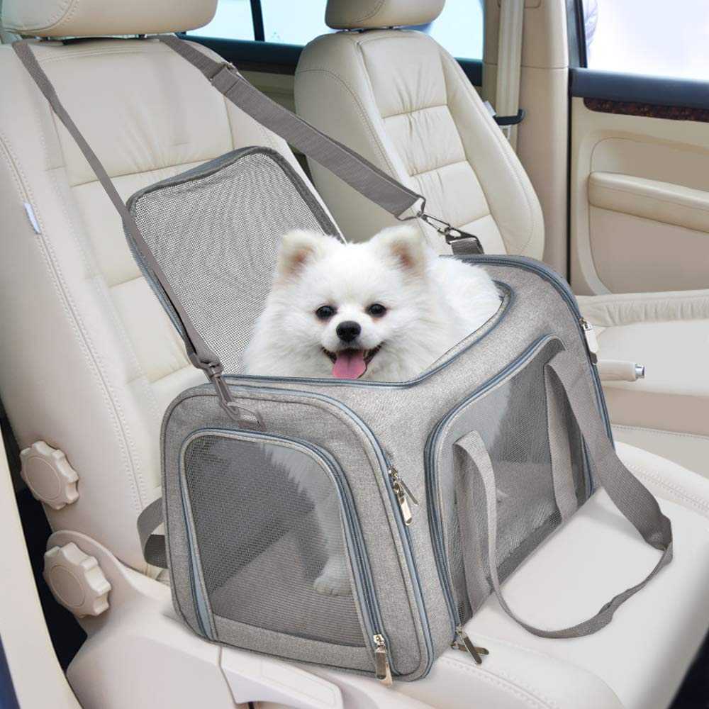 Large Cat & Dog Carrier – Soft-Sided Collapsible Travel Bag for Pets up to 25 lbs